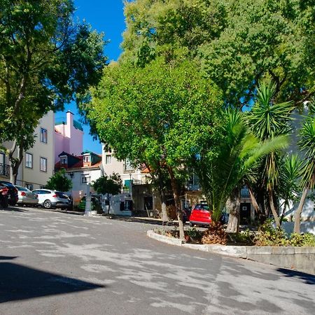 Cozy House By Famous Flea Market With Terrace Appartement Lissabon Buitenkant foto